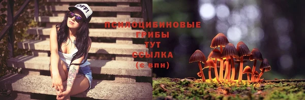 синтетический гашиш Алексеевка
