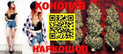 спиды Можга